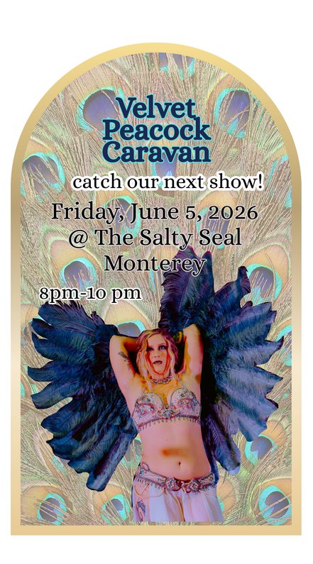 Velvet Peacock at The Salty Seal